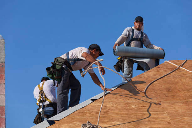 Best Roof Waterproofing Services  in Hayward, WI