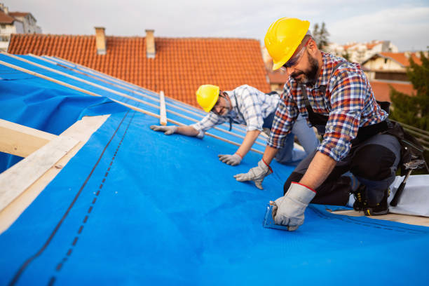 Roof Waterproofing Services in Hayward, WI