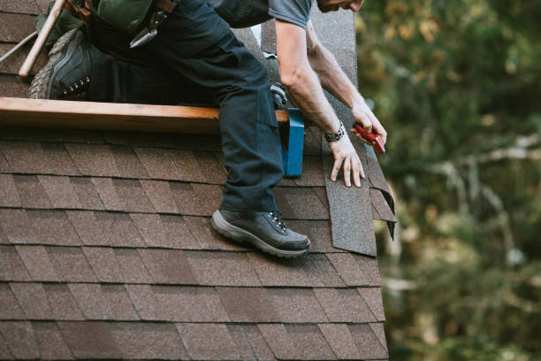 Best Roof Gutter Cleaning  in Hayward, WI